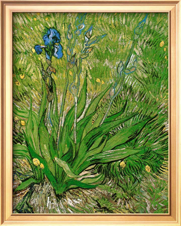 The Iris - Van Gogh Painting On Canvas